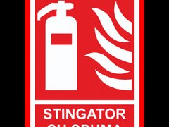 Placuta stingator cu spuma